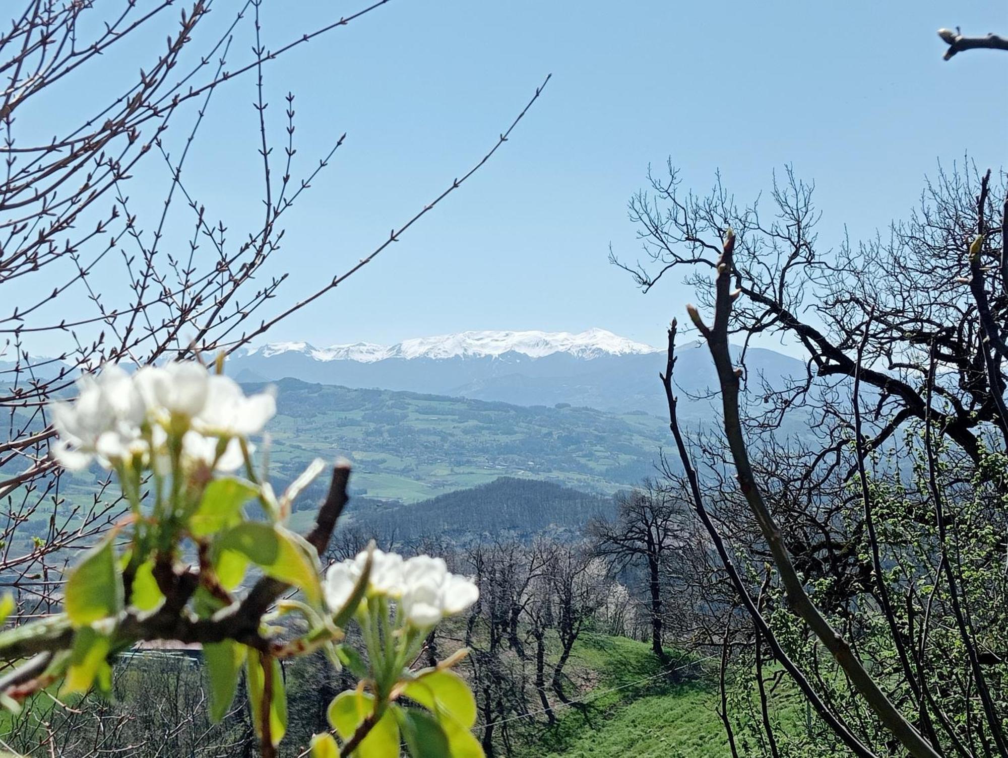 Casale Monte Valestra Bed and Breakfast Bebbio Exteriör bild
